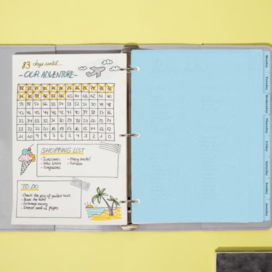 3 Ring Binder Dividers with 8- - Tab Divider A4 ulasan dan harga