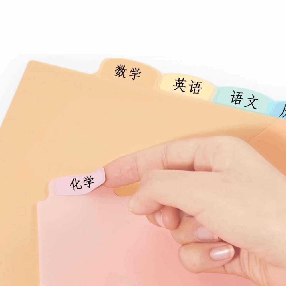 8 pcs Durable A4 Pastel Binder - Tab Divider A4 ulasan dan harga
