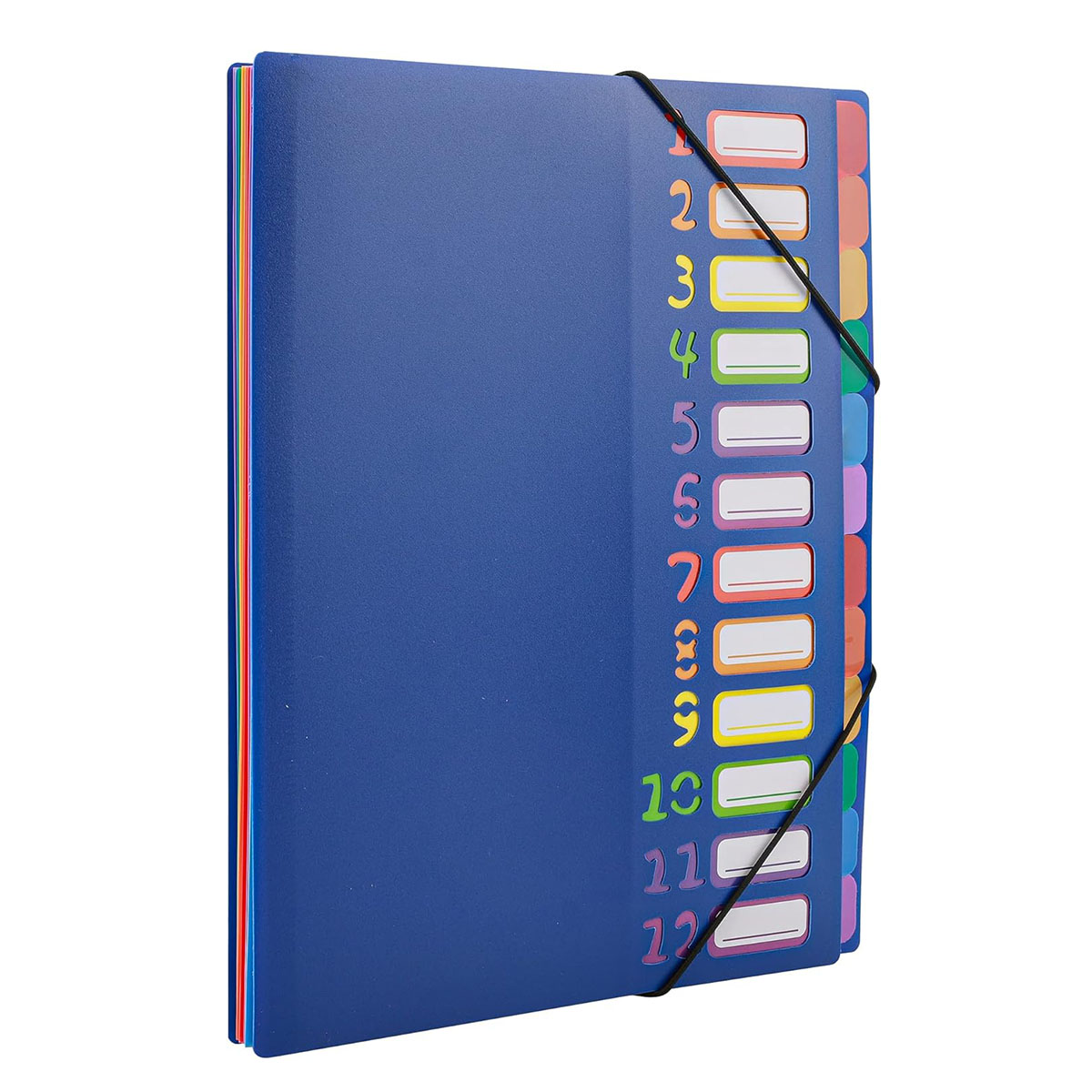 A4 Size Rainbow Tab Expanding  - Tab Divider A4 ulasan dan harga
